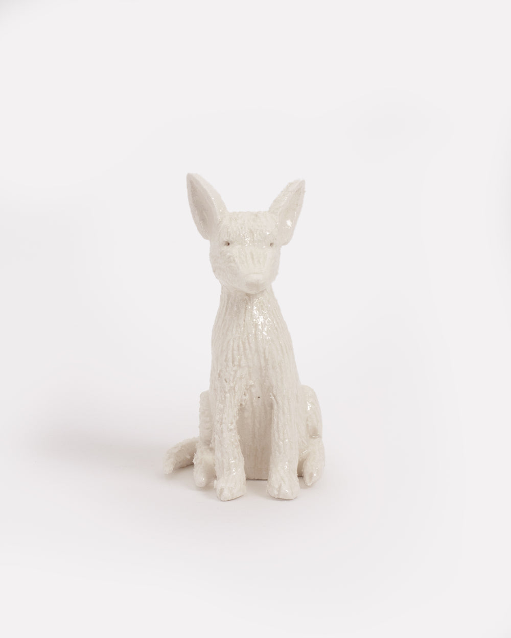 Pet