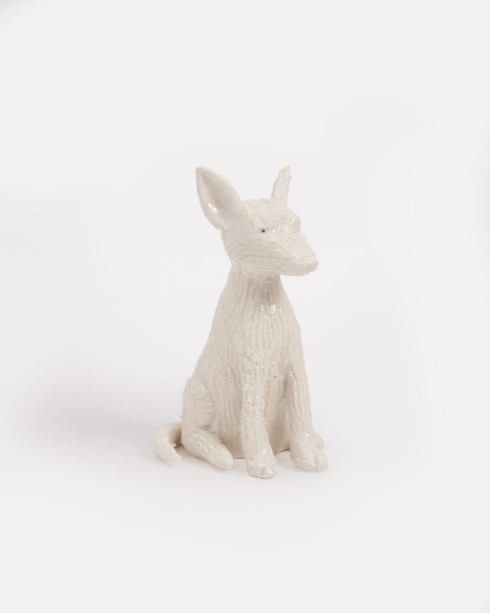 Pet