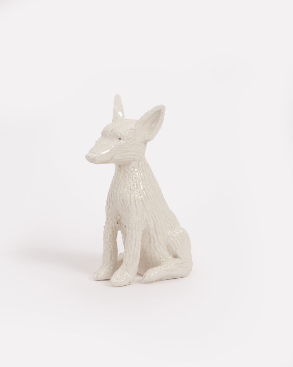 Pet