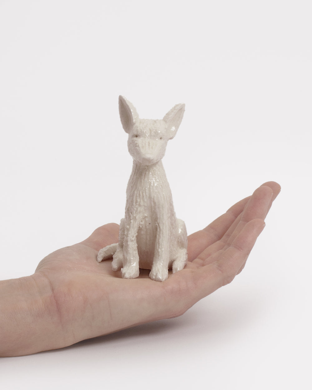 Pet