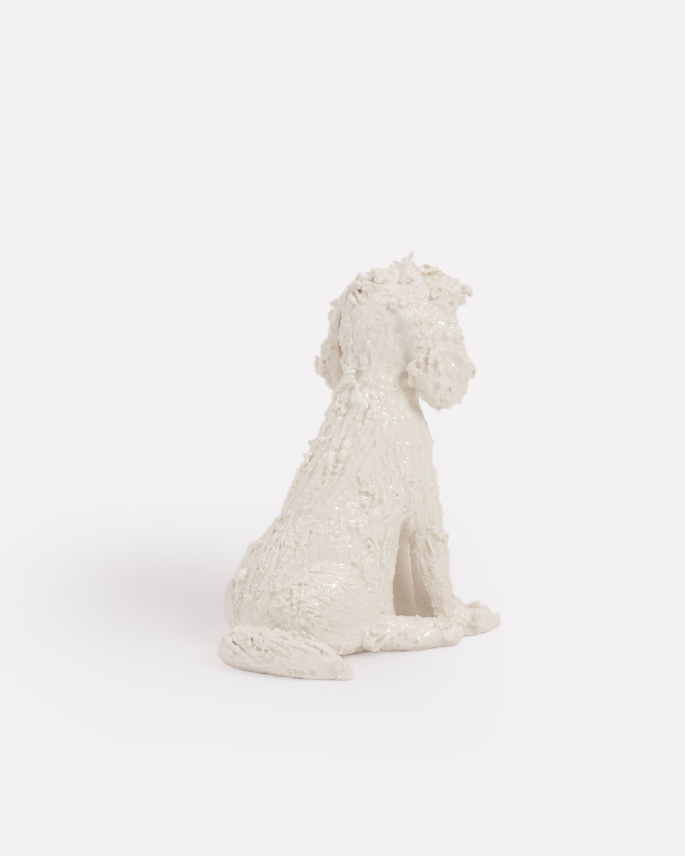 Pet
