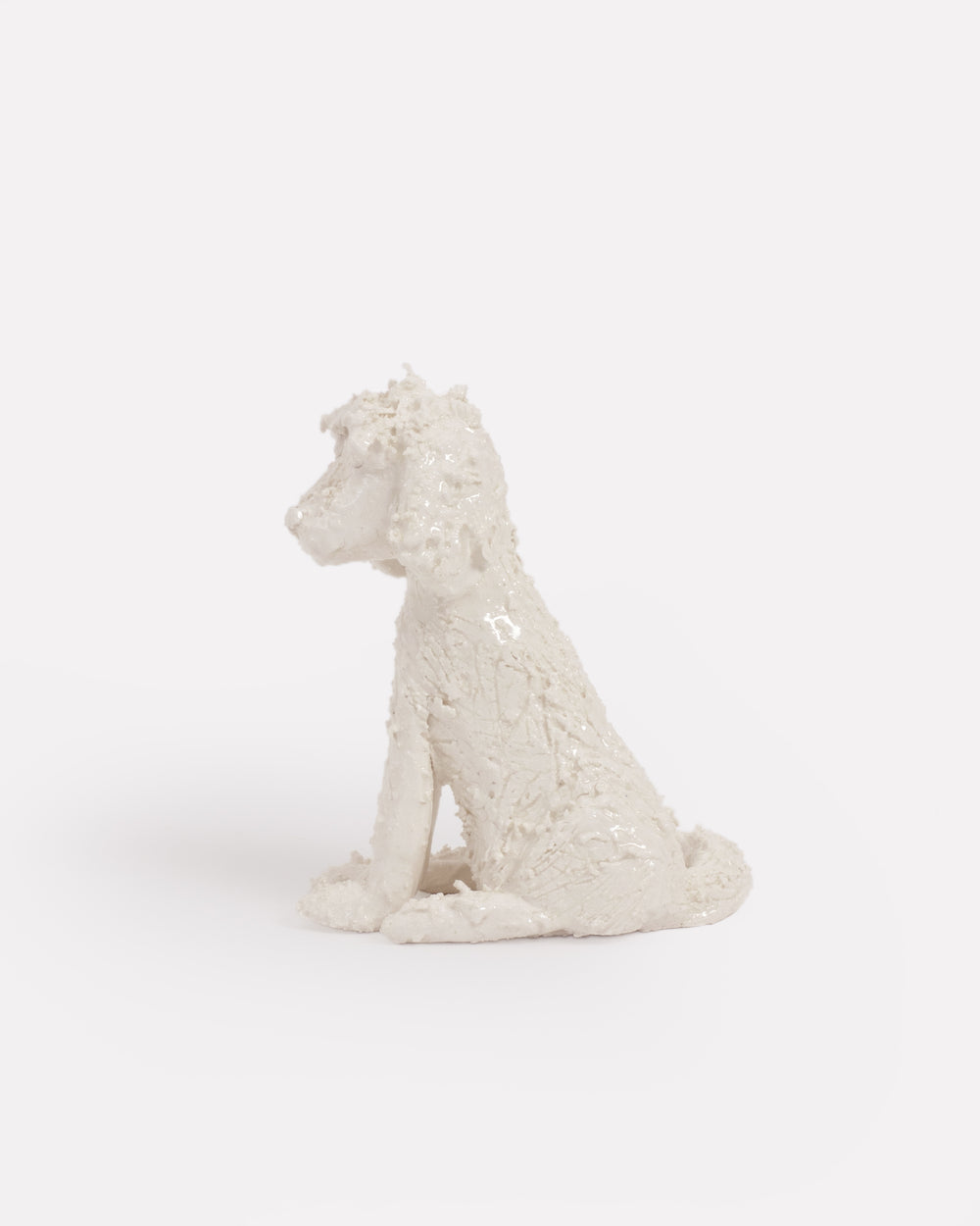 Pet