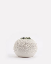 Drippy Bowl